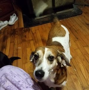 Meet your Posher, Sherry